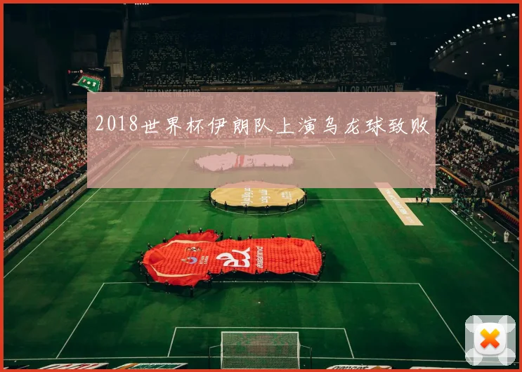 2018世界杯伊朗队上演乌龙球致败