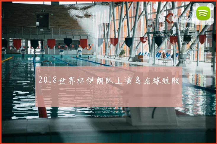 2018世界杯伊朗队上演乌龙球致败