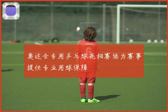 奥运会专用乒乓球亮相赛场为赛事提供专业用球保障