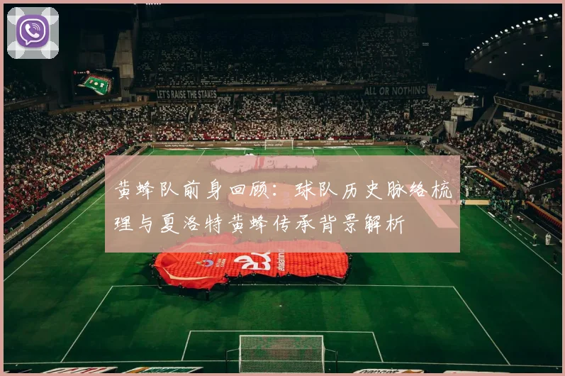 黄蜂队前身回顾：球队历史脉络梳理与夏洛特黄蜂传承背景解析