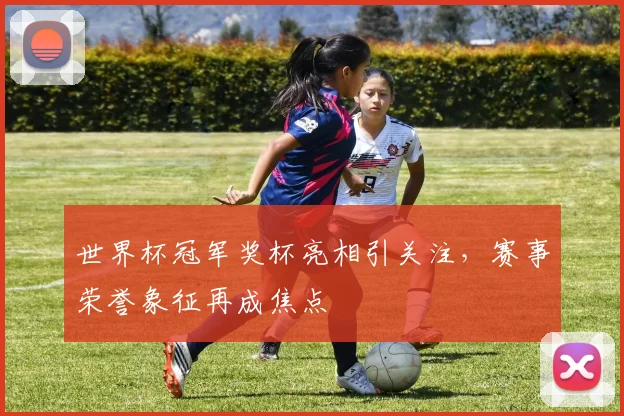 世界杯冠军奖杯亮相引关注,赛事荣誉象征再成焦点